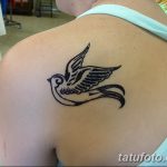 fotó henna madár rajzolása 2017.11.10 -től 013 sz. - henna madár rajzolása -