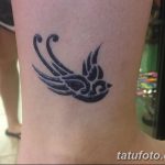 fotó henna madár rajzolása 2017.11.10 -től 016 sz. - henna madár rajzolása -