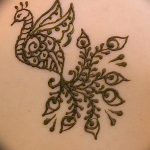 fotó henna madár rajzolása 2017.11.10 -től 024 sz. - henna madár rajzolása -