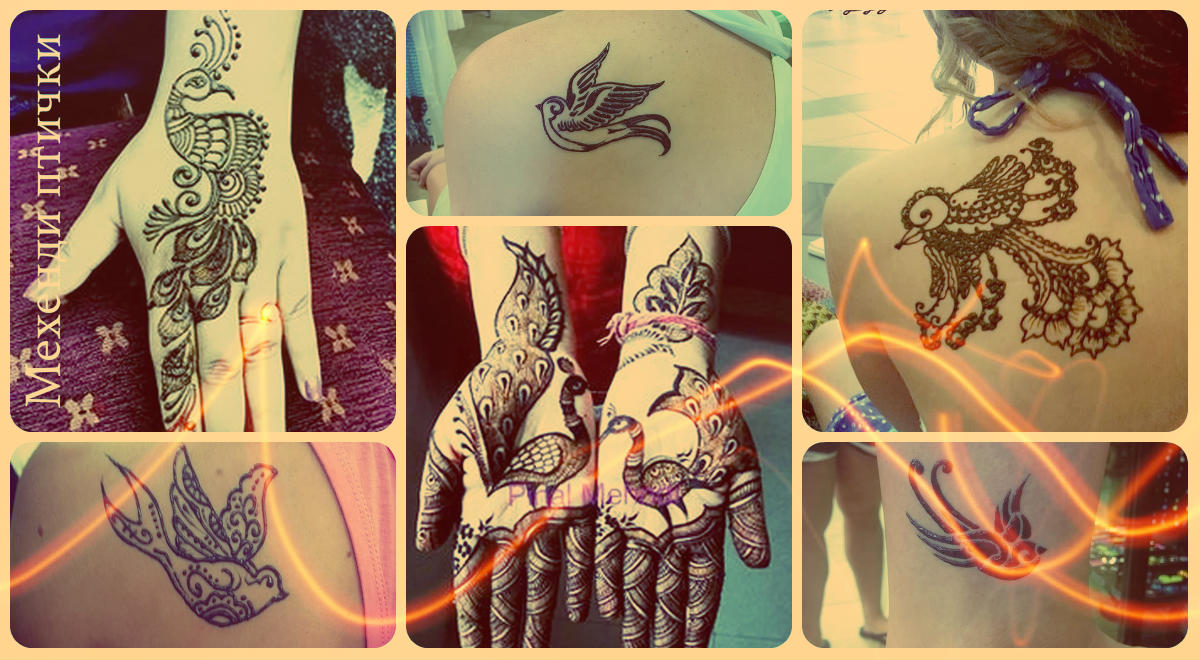 Mehendi madarak (henna rajzok) - fotó példák a kész henna rajzokról egy madárral