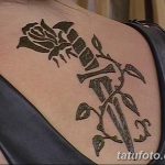 foto af Mehendi rose fra 19.08.2017 №084 - Mehendi Rose_