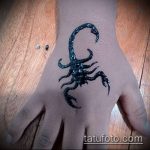 Fotó skorpió henna (Tattoo Scorpion henn) (érték) - példa rajz - 004