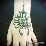 Fotó skorpió henna (Tattoo Scorpion henn) (érték) - példa rajz - 007