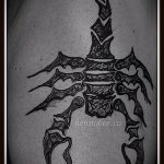 Fotó skorpió henna (Tattoo Scorpion henn) (érték) - példa rajz - 008