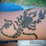 Fotó skorpió henna (Tattoo Scorpion henn) (érték) - példa rajz - 013