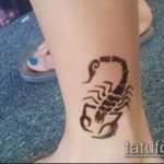 Fotó skorpió henna (Tattoo Scorpion henn) (érték) - példa rajz - 016