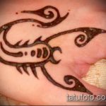 Fotó skorpió henna (Tattoo Scorpion henn) (érték) - példa rajz - 017 7254
