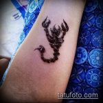 Fotó skorpió henna (Tattoo Scorpion henn) (érték) - példa rajz - 019