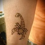 Fotó skorpió henna (Tattoo Scorpion henn) (érték) - példa rajz - 020