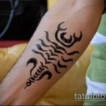 Fotó skorpió henna (Tattoo Scorpion henn) (érték) - példa rajz - 023