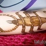 Fotó skorpió henna (Tattoo Scorpion henn) (érték) - példa rajz - 028