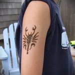 Fotó skorpió henna (Tattoo Scorpion henn) (érték) - példa rajz - 029
