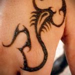Fotó skorpió henna (Tattoo Scorpion henn) (érték) - példa rajz - 033 578