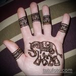 Foto Mehendi Elephant - 04062017 - eksempel - 004 Mehendi Elephant