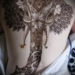 Foto Mehendi Elephant - 04062017 - eksempel - 018 Mehendi Elephant