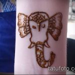 Foto Mehendi Elephant - 04062017 - eksempel - 019 Mehendi Elephant