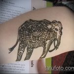 Foto Mehendi Elephant - 04062017 - eksempel - 037 Mehendi Elephant