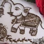 Foto Mehendi Elephant - 04062017 - eksempel - 039 Mehendi Elephant