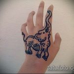 Foto Mehendi Elephant - 04062017 - eksempel - 043 Mehendi Elephant