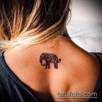 Foto Mehendi Elephant - 04062017 - eksempel - 044 Mehendi Elephant