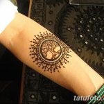 снимка Слънцето Мехенди от 26.12.2017 г. №013 - Слънцето Мехенди -