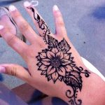 снимка Слънцето Мехенди от 26.12.2017 г. №039 - Слънцето Мехенди -