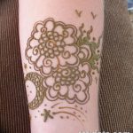 снимка Слънцето Мехенди от 26.12.2017 г. №070 - Слънцето Мехенди -