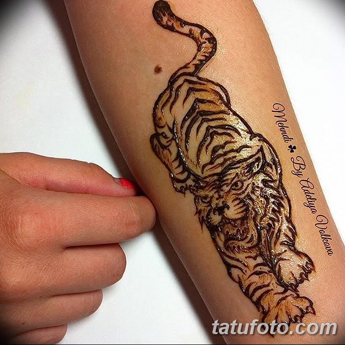 снимка на Mehendi Tiger от 10.11.2017 г. No 008 - Mehendi Tiger -