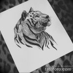 снимка на Mehendi Tiger от 10.11.2017 г. No 001 - Mehendi Tiger -