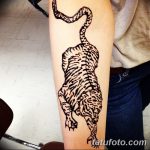 снимка Mehendi Tiger от 10.11.2017 №002 - Mehendi Tiger -