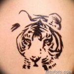 снимка на Mehendi Tiger от 10.11.2017 г. No 004 - Mehendi Tiger -