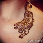 снимка на Mehendi Tiger от 10.11.2017 г. No 009 - Mehendi Tiger -