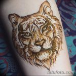 снимка на Mehendi Tiger от 10.11.2017 г. No 011 - Mehendi Tiger -