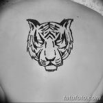 снимка на Mehendi Tiger от 10.11.2017 г. No 012 - Mehendi Tiger -