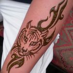 снимка Mehendi Tiger от 10.11.2017 №013 - Mehendi Tiger - 236234