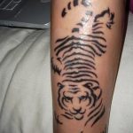 снимка Mehendi Tiger от 10.11.2017 №016 - Mehendi Tiger -
