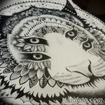 снимка Mehendi Tiger от 10.11.2017 №019 - Mehendi Tiger -