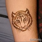 снимка на Mehendi Tiger от 10.11.2017 г. No 021 - Mehendi Tiger -