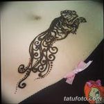 снимка на Mehendi Tiger от 10.11.2017 г. No 022 - Mehendi Tiger -