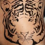 снимка на Mehendi Tiger от 10.11.2017 №024 - Mehendi Tiger -