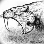 снимка Mehendi Tiger от 10.11.2017 №026 - Mehendi Tiger -