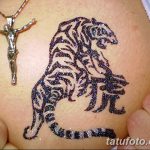 снимка Mehendi Tiger от 10.11.2017 №027 - Mehendi Tiger - 246234