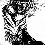 снимка на Mehendi Tiger от 10.11.2017 г. №030 - Mehendi Tiger -