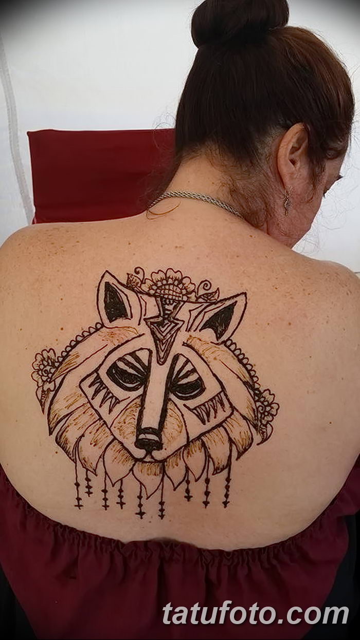 снимка на вълка Мехенди от 05.05.2018 г. №004 - вълкът Мехенди -