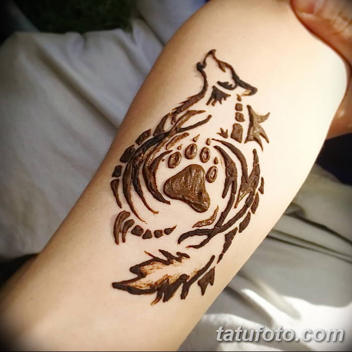 снимка на вълка Мехенди от 05.05.2018 г. №011 - вълкът Мехенди -