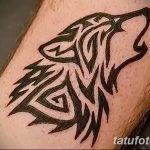 снимка на вълка Мехенди от 05.05.2018 г. №026 - вълкът Мехенди -