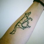 снимка на вълка Мехенди от 05.05.2018 г. №002 - вълкът Мехенди -