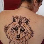 снимка на вълка Мехенди от 05.05.2018 г. №004 - вълкът Мехенди -