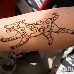 снимка на вълка Мехенди от 05.05.2018 г. №005 - вълкът Мехенди -