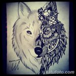 снимка на вълка Мехенди от 05.05.2018 г. №006 - вълкът Мехенди -